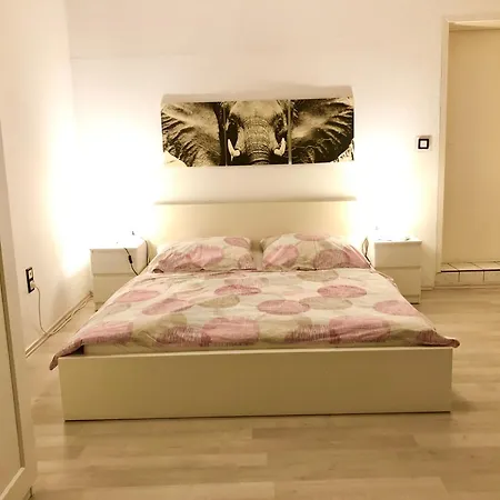 Der Koenigliche Innengarten, Frei Nach Diego